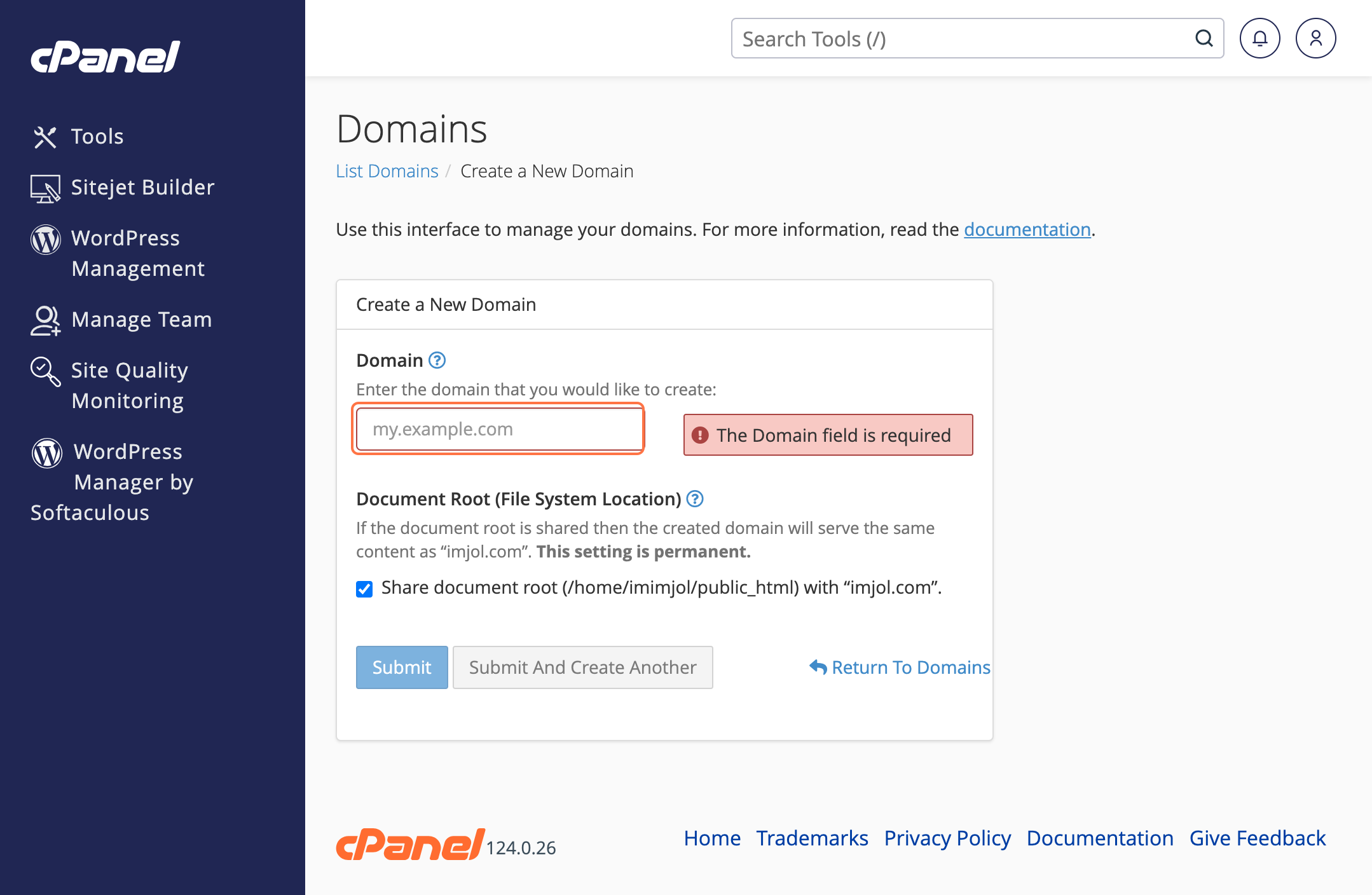 cPanel Domain panel