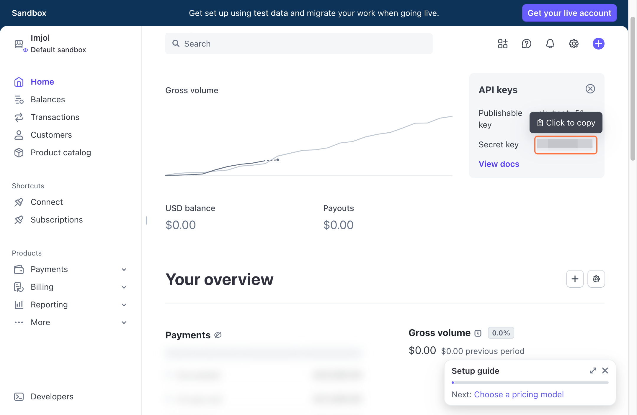 Stripe Dashboard API key