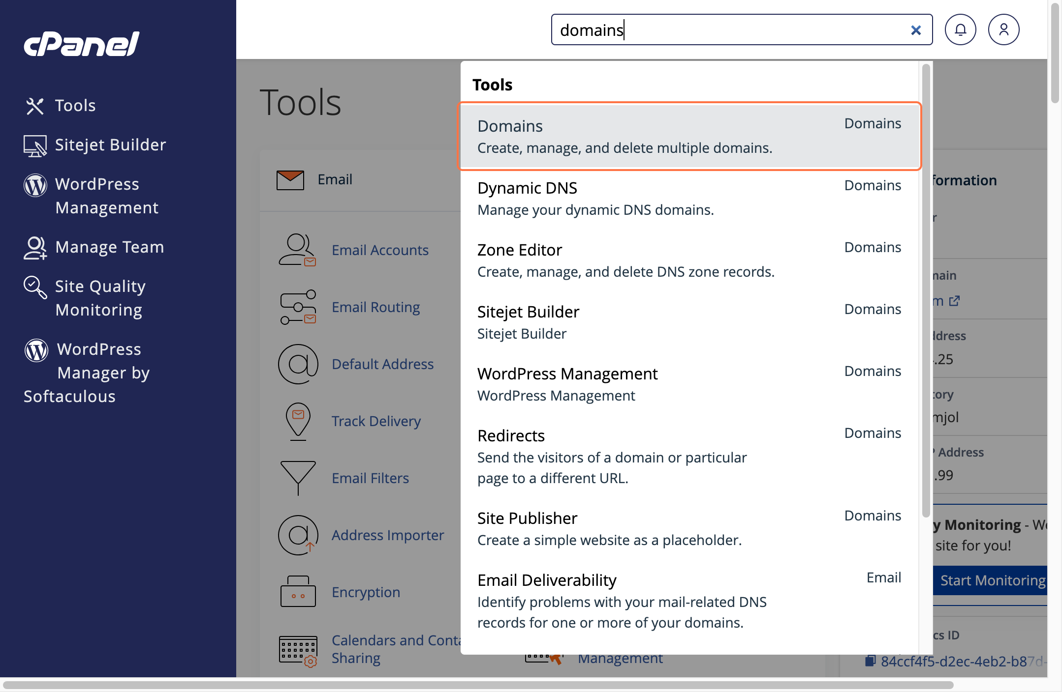 cPanel domain panel