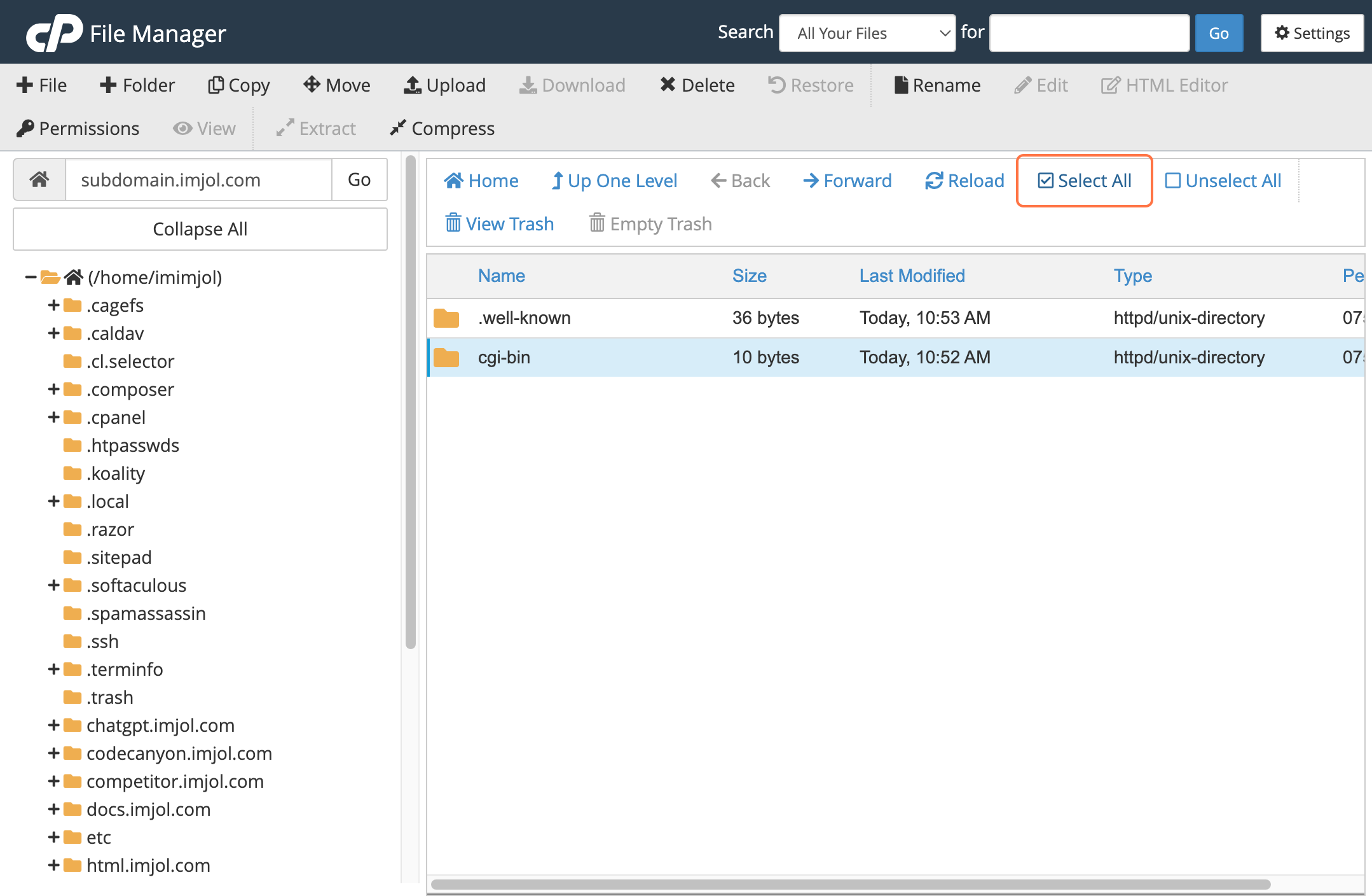 cPanel file manager