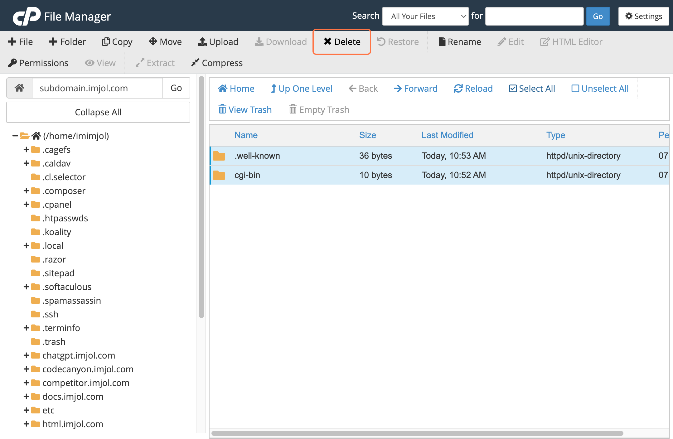 cPanel file manager