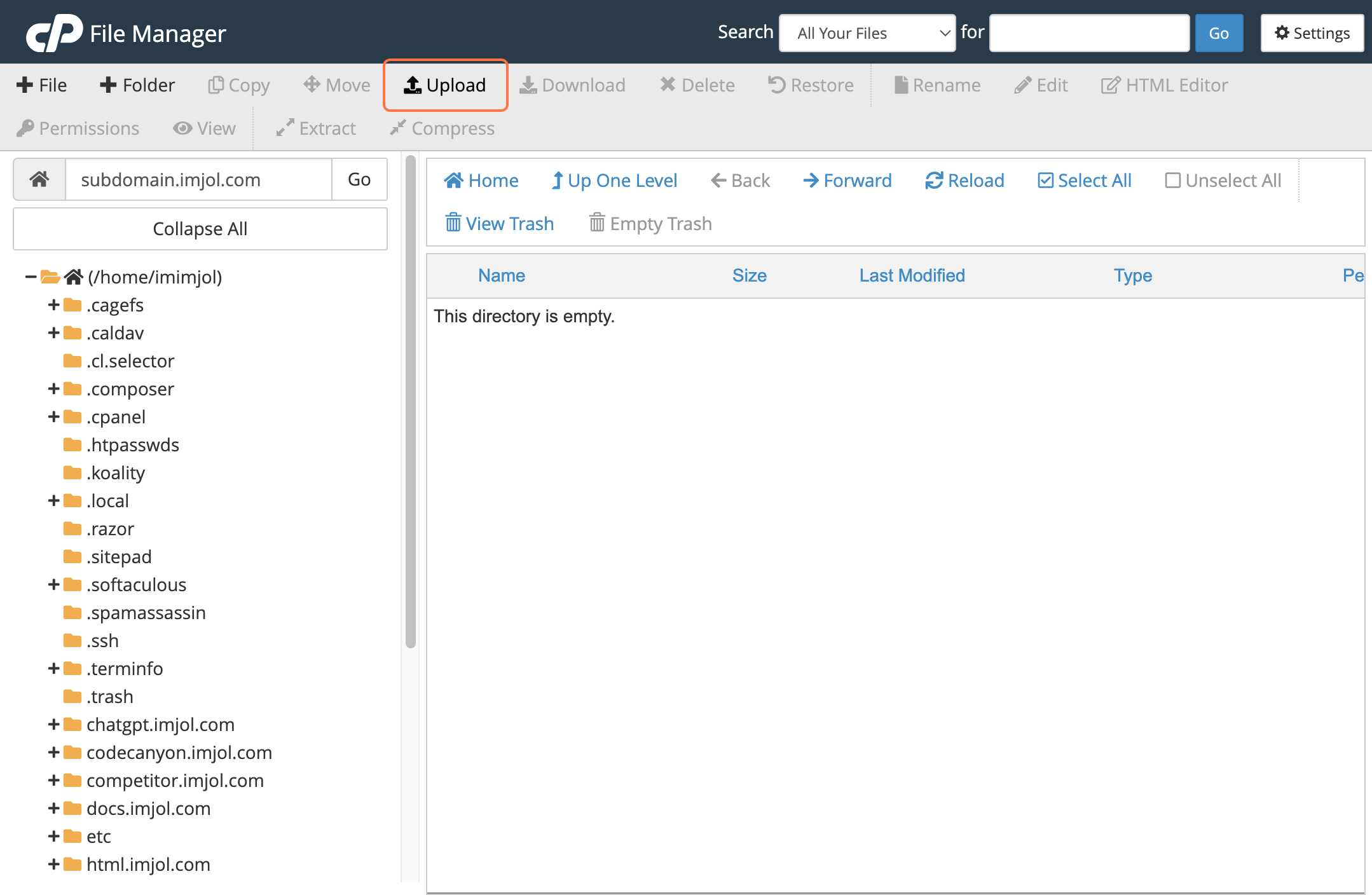 cPanel file manager upload tab