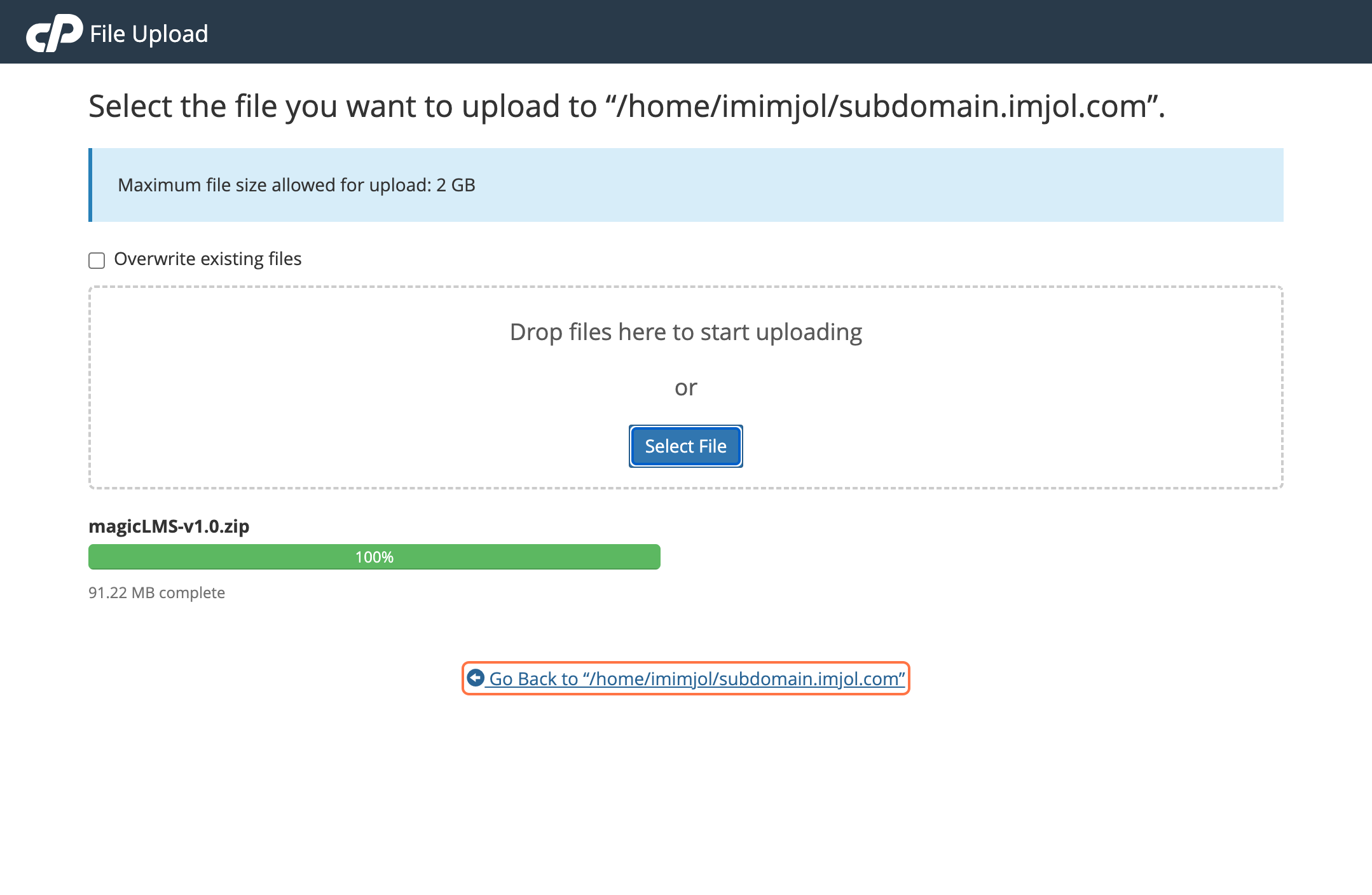 cPanel file manager domain file